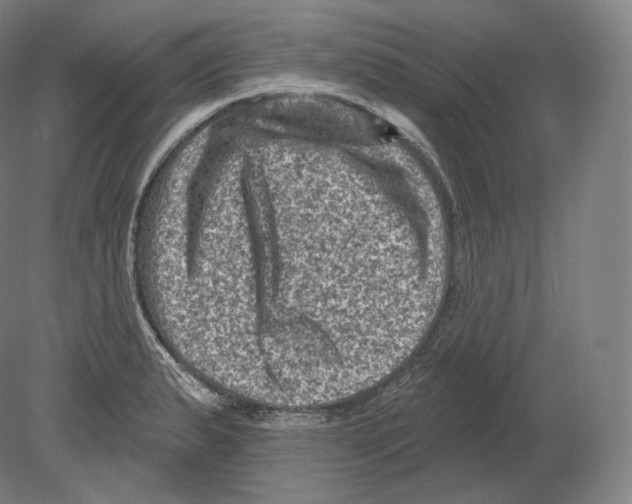 X0000080181183200701051649