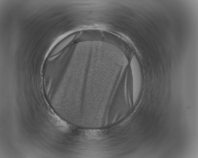 X0000080181184200701051649