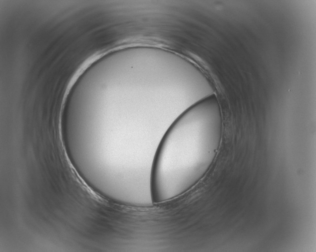 X0000080181188200701051649