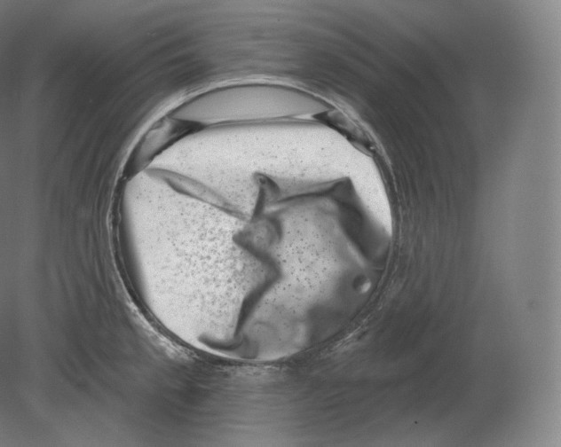 X0000080181189200701051649