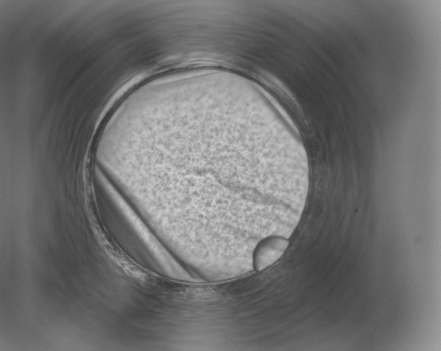 X0000080181190200701051649