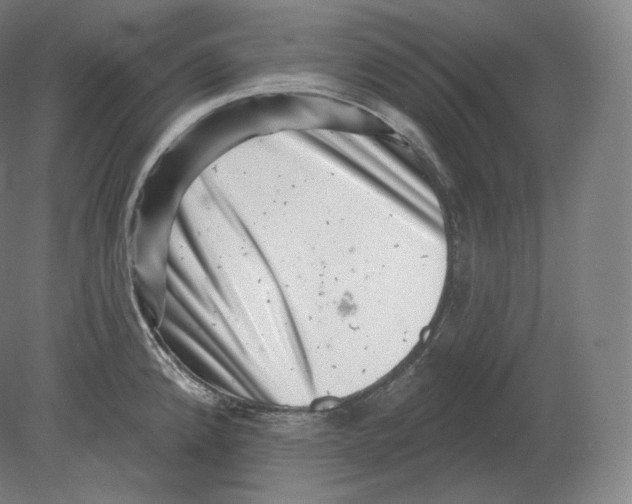 X0000080181192200701051649