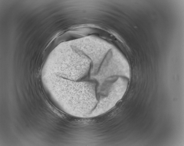 X0000080181193200701051649