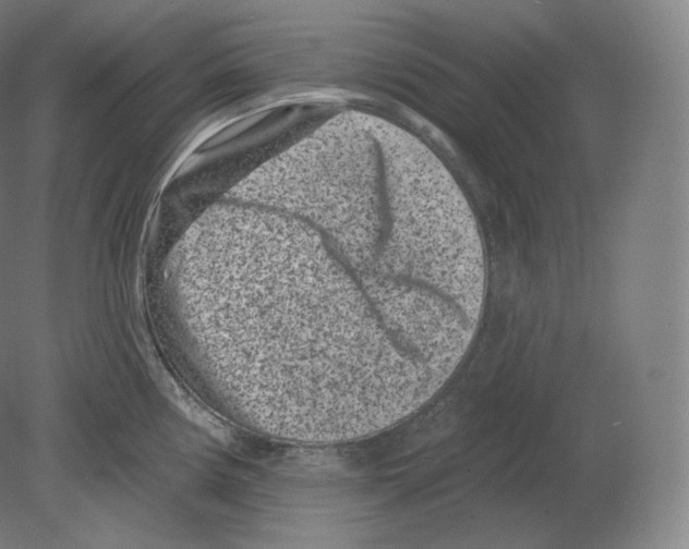 X0000080181194200701051649