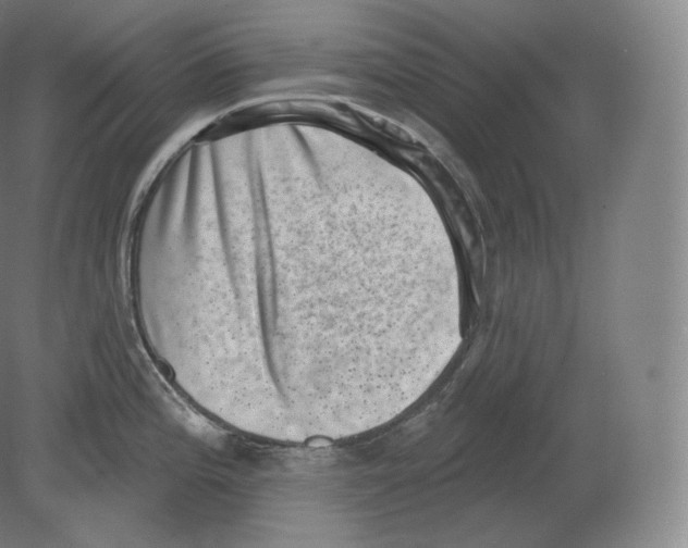 X0000080181196200701051649