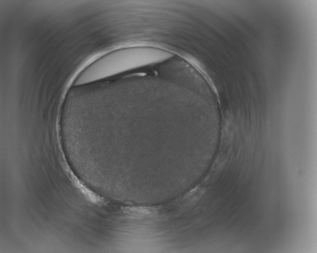 X0000080181197200701051649