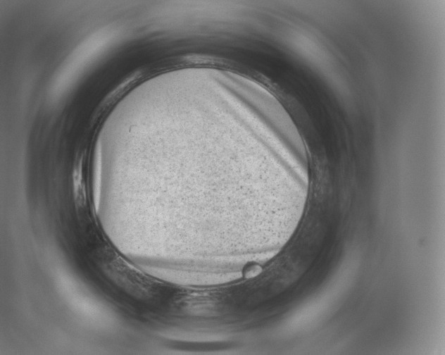 X0000080181198200701051649