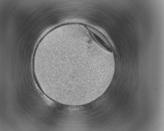 X0000080181199200701051649