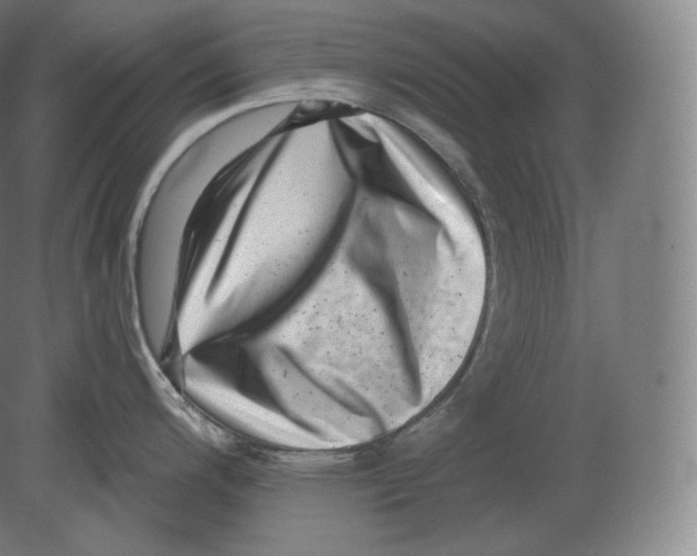 X0000080181200200701051649