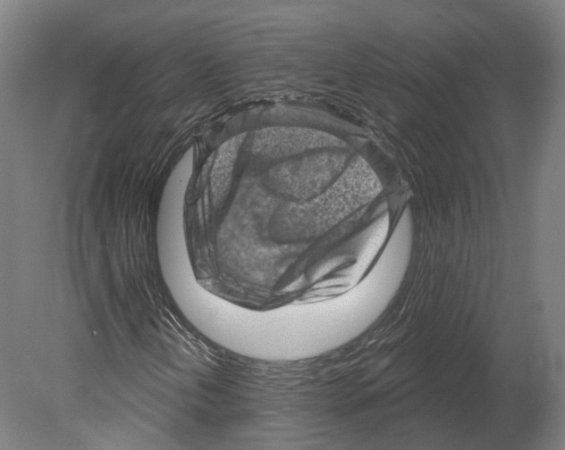 X0000080181202200701051648