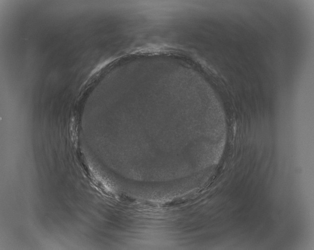 X0000080181206200701051648