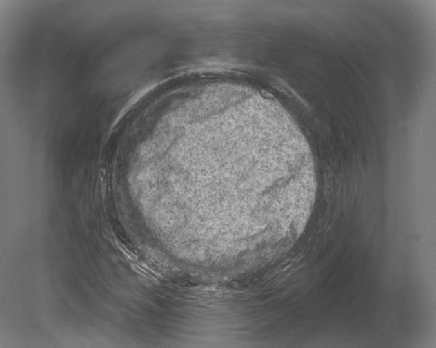 X0000080181208200701051648