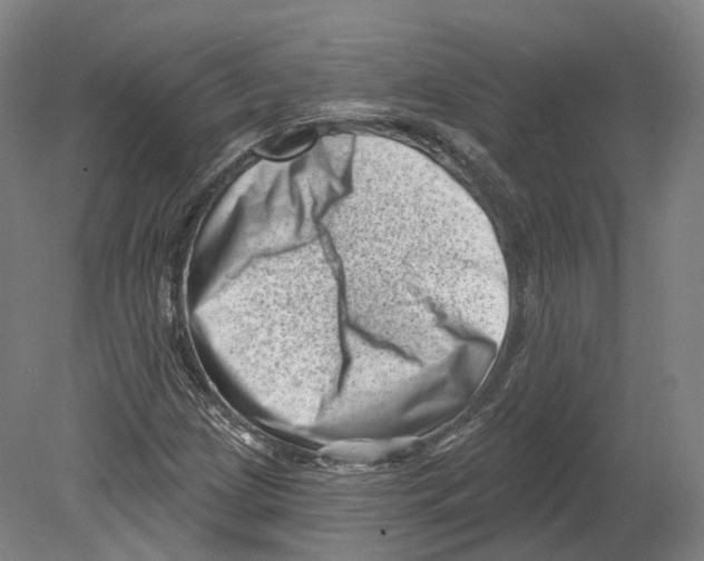 X0000080181209200701051648