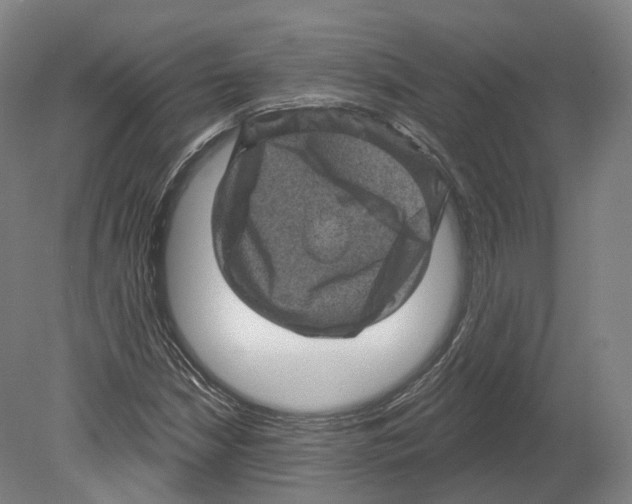 X0000080181210200701051648