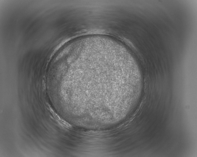 X0000080181212200701051648