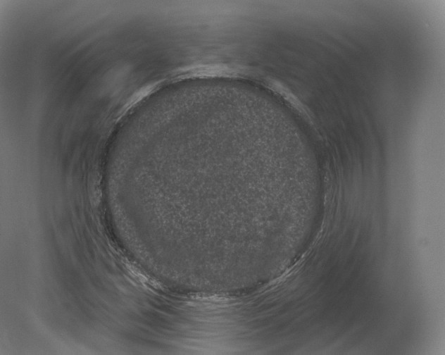 X0000080181213200701051648