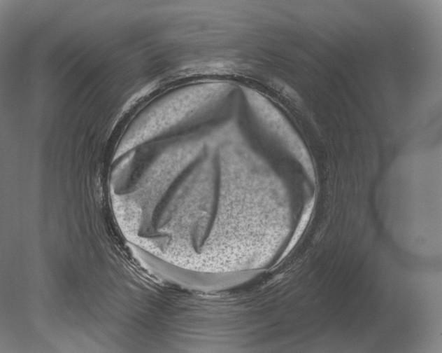 X0000080181218200701051648