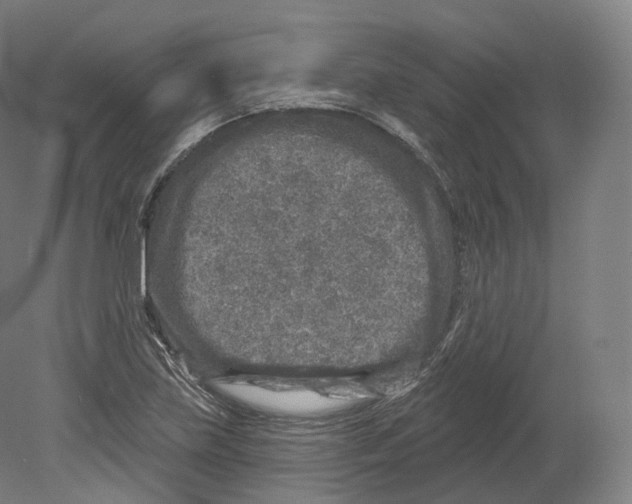 X0000080181219200701051648