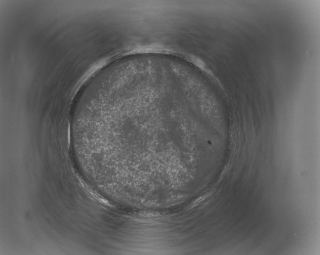 X0000080181221200701051648