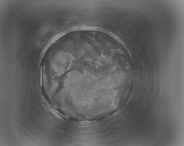 X0000080181223200701051648