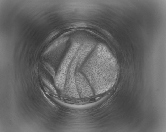 X0000080181225200701051648