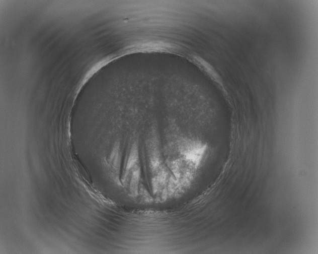 X0000080181226200701051648