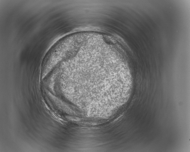 X0000080181228200701051648