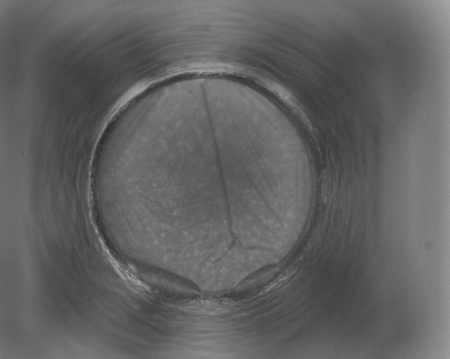 X0000080181229200701051648