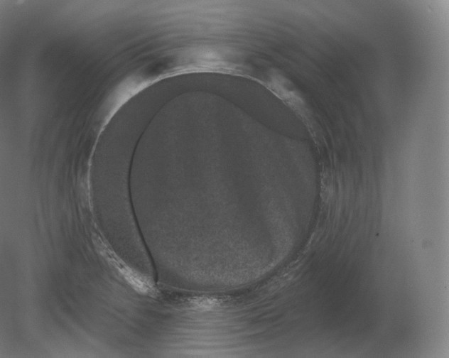 X0000080181230200701051648