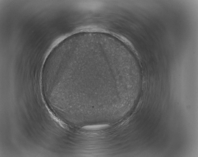 X0000080181231200701051649