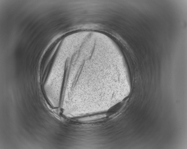 X0000080181232200701051649