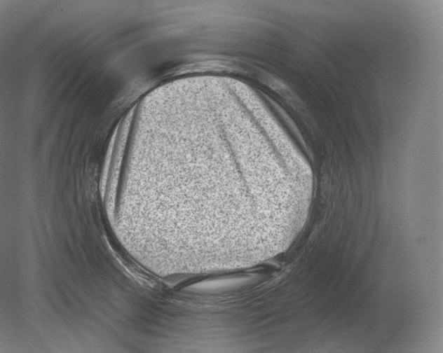 X0000080181233200701051649