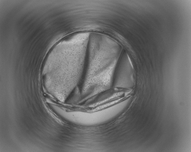 X0000080181234200701051649