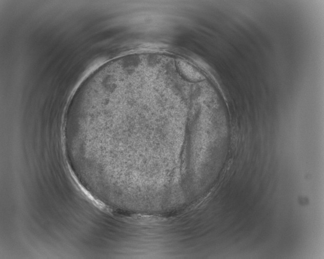 X0000080181235200701051649