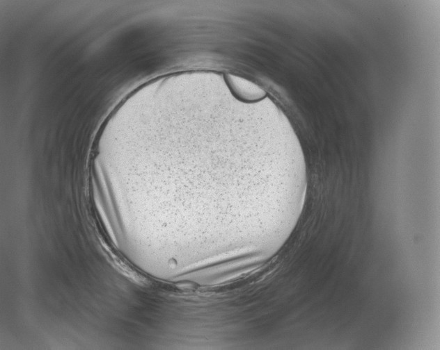 X0000080181236200701051649