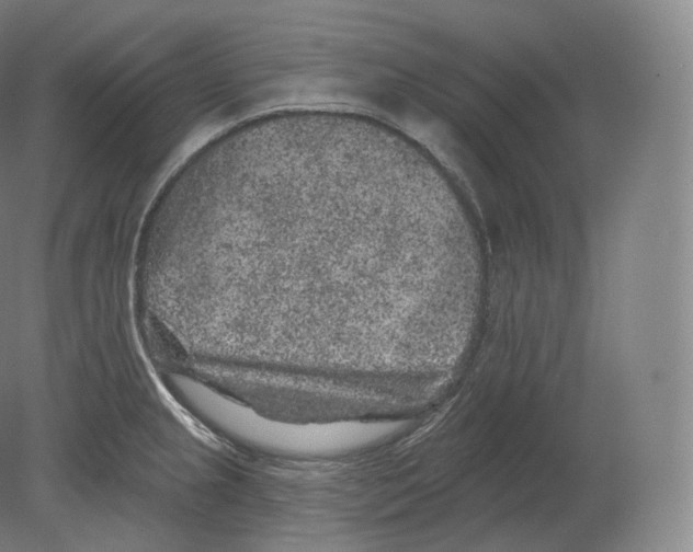 X0000080181237200701051649