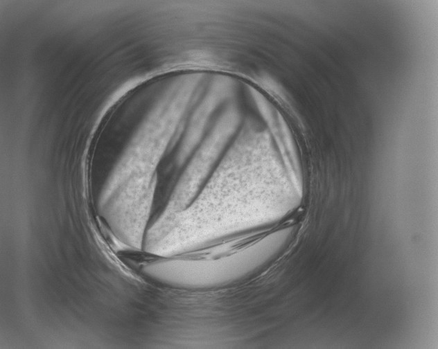 X0000080181238200701051649