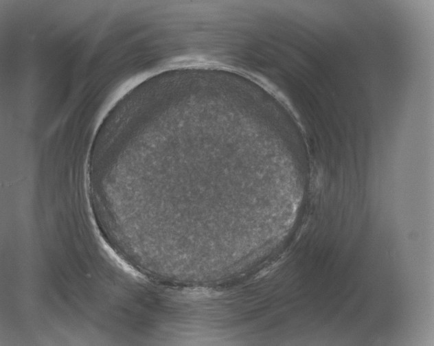 X0000080181239200701051649