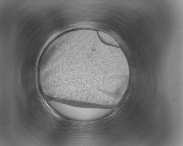 X0000080181240200701051649