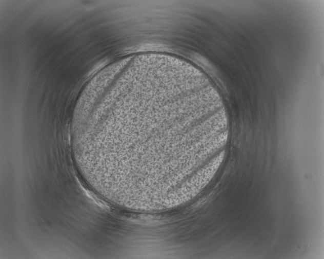 X0000080181241200701051649