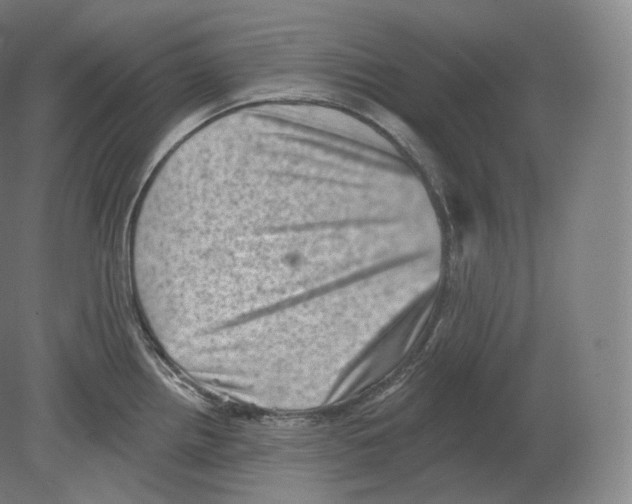 X0000080181242200701051649