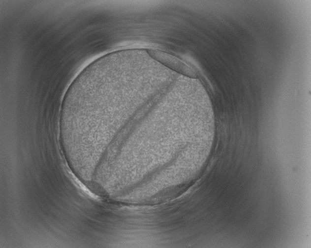 X0000080181244200701051649