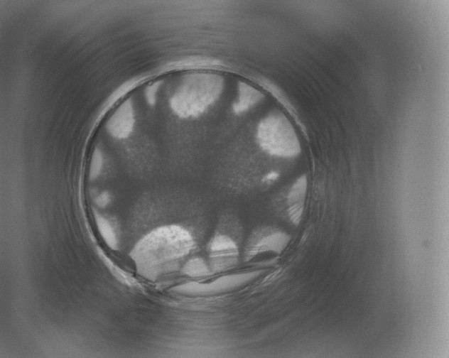 X0000080181245200701051649