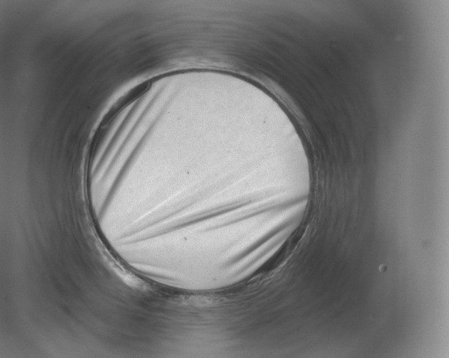 X0000080181246200701051649