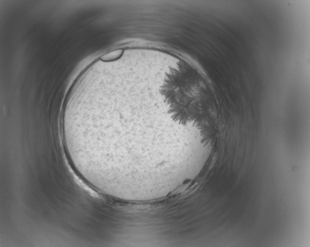 X0000080181247200701051649