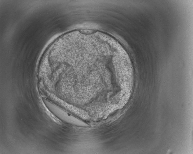 X0000080181248200701051649