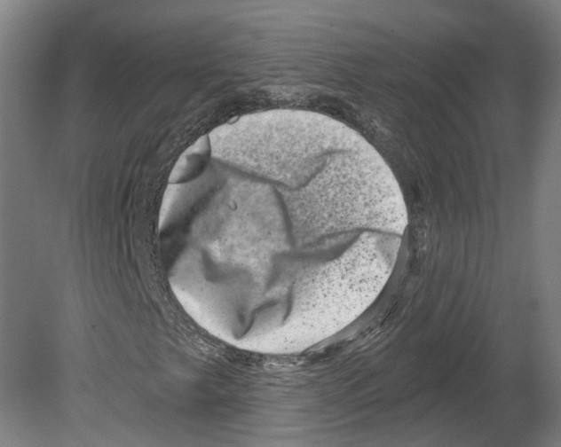 X0000080181249200701051648