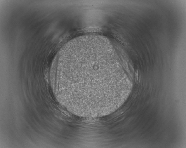 X0000080181251200701051648