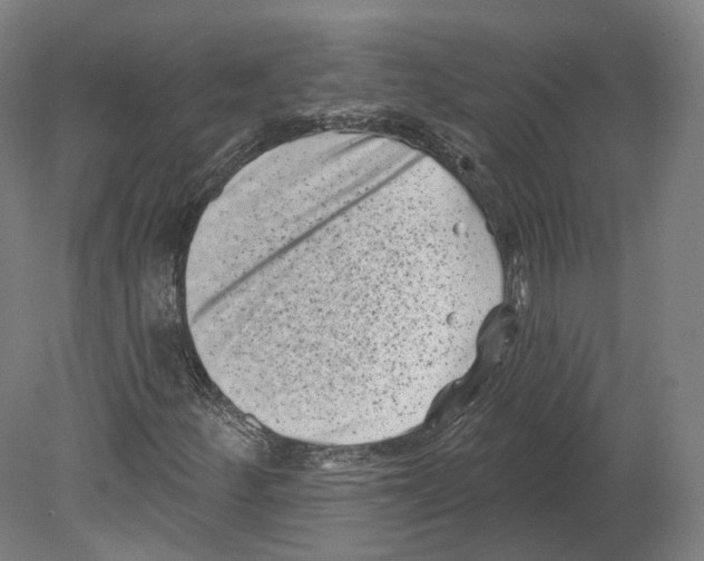 X0000080181252200701051648