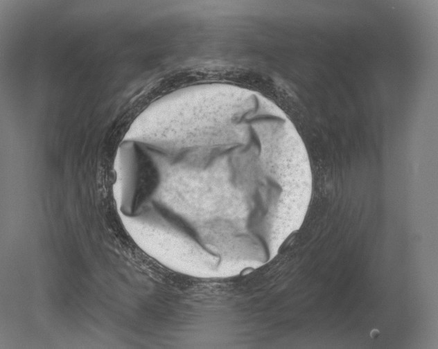 X0000080181253200701051648